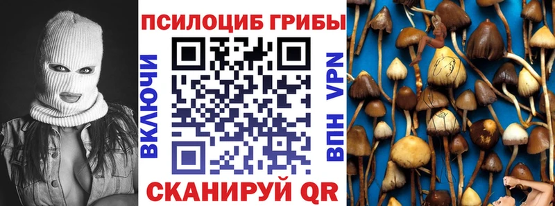 продажа наркотиков  Щёлково  Галлюциногенные грибы MAGIC MUSHROOMS 